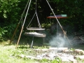 DSCN4868